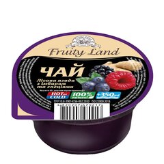 Чай Лісові ягоди-імбир-спеції Fruity Land 24 шт