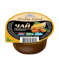 Чай Обліпиха-імбир-мед зі спеціями Fruity Land 24 шт