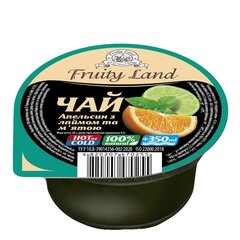 Чай Апельсин-лайм-мята Fruity Land 24 шт