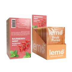 Основа для лимонада и чая Lemo Барбарис-Мята порционное 15x45 г