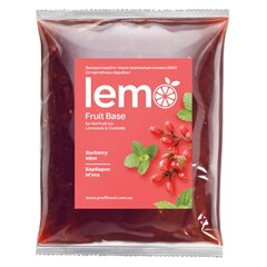Основа для лимонаду та чаю Lemo Барбарис-М'ята 1 кг