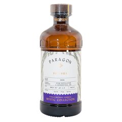 Кордиал Monin Paragon Vetiver 485 мл
