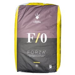 Итальянская универсальная сильная мука Molino Pordenone F/0 Forza+ мягких сортов тип 0, 25 кг