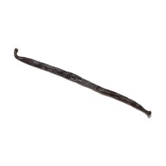 Стручкова ваніль "Мадагаскар" 16-18 см сорт Бурбон 1 шт