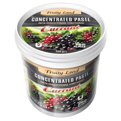 Паста концентрована Fruity Land Чорна смородина 500 г