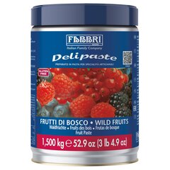 Делипаста Fabbri Лесные ягоды 1.5 кг