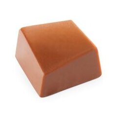 Форма конфета куб Valrhona Galb