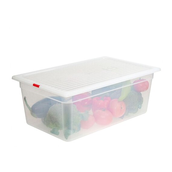 Контейнер для зберігання з кришкою поліпропілен 1/1 200 мм 24 л, зображення 4