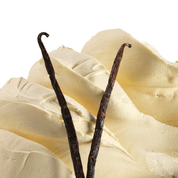 Паста ванілі Бурбон 100% з насінням Pernigotti Vanilla Bourbon Pura Top 3.5 кг, зображення 7