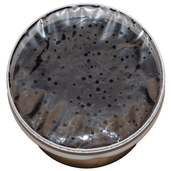 Аромпаста Aromitalia Фиалка 3.5 кг, изображение 6