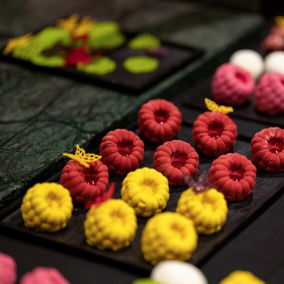 Форма силиконовая Pavoni Павофлекс Малина 1.1 Фабрицио Фиорани, изображение 5 Форма силиконовая Pavoni Павофлекс Малина 1.1 Фабрицио Фиорани, изображение 5