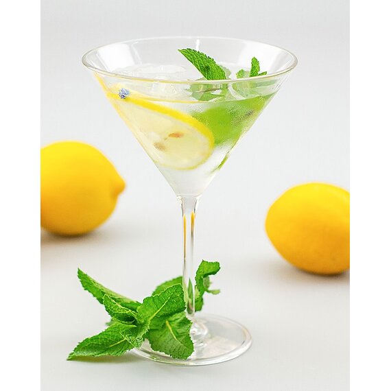 Келих для мартіні з полікарбонату 280 мл, зображення 2