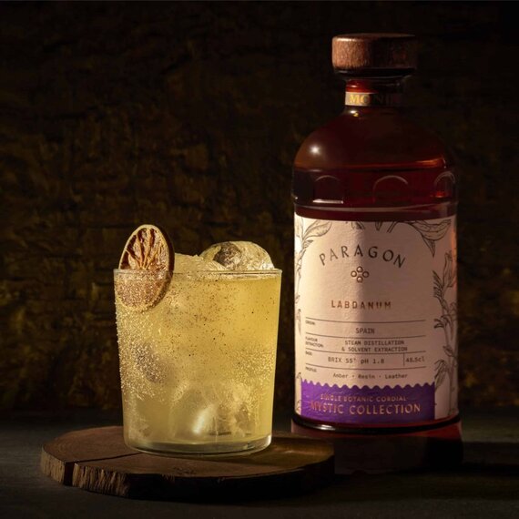 Кордіал Monin Paragon Labdanum 485 мл, зображення 3