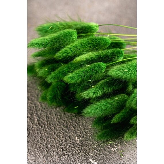 Колоски декоративні 50 шт, зображення 5