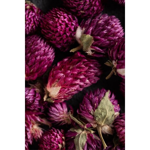 Гомфрена сушена 25 г, зображення 3 Гомфрена сушена 25 г, зображення 3