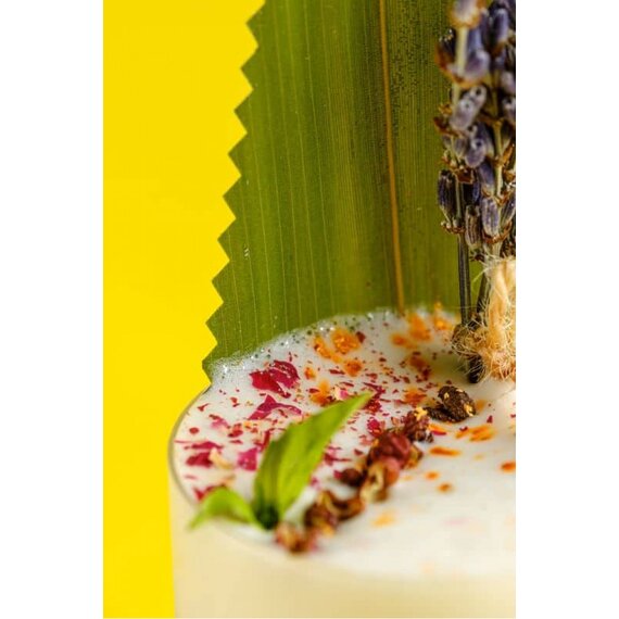 Листя бамбуку 100 шт, зображення 13 Листя бамбуку 100 шт, зображення 13