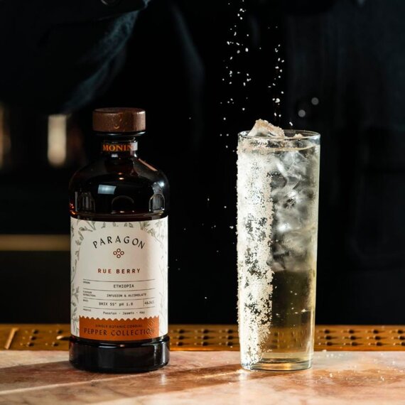 Кордіал Monin Paragone Rue Berry 485 мл, зображення 4