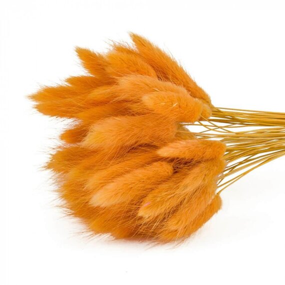 Колоски декоративні 50 шт, зображення 4