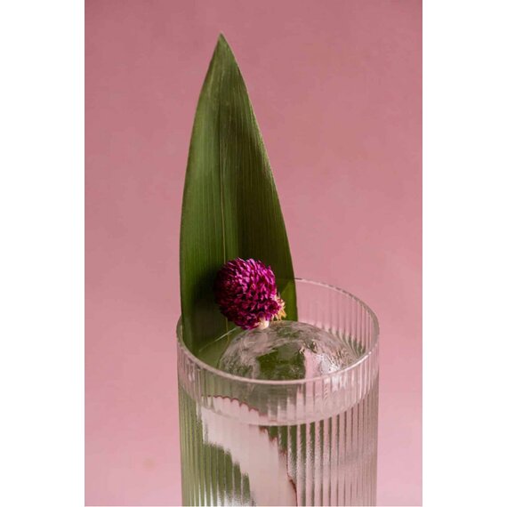 Листя бамбуку 100 шт, зображення 3 Листя бамбуку 100 шт, зображення 3