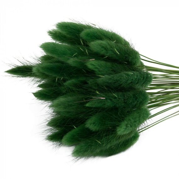 Колоски декоративні 50 шт, зображення 2