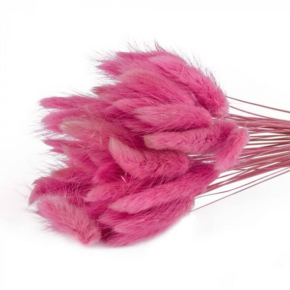 Колоски декоративні 50 шт, зображення 3