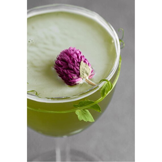 Гомфрена сушена 25 г, зображення 6 Гомфрена сушена 25 г, зображення 6