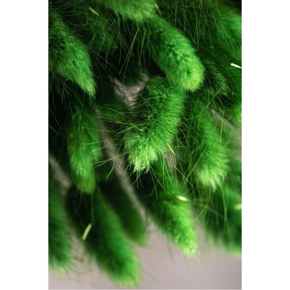 Колоски декоративні 50 шт, зображення 6