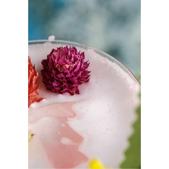 Гомфрена сушена різнокольорова 30 шт, зображення 10 Гомфрена сушена різнокольорова 30 шт, зображення 10