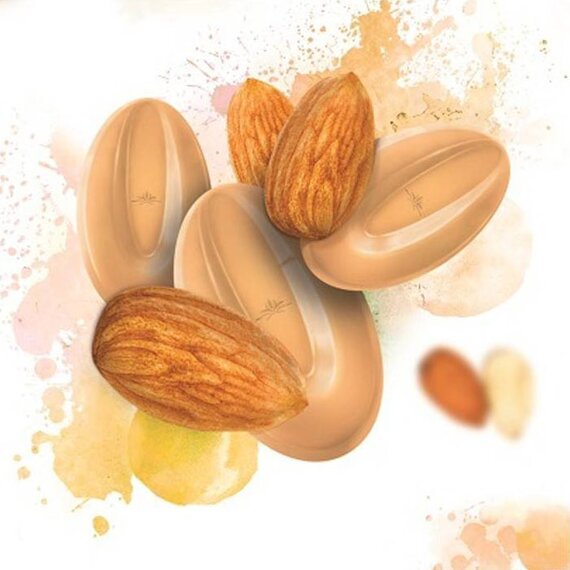 Шоколад зі смаком Мигдалю VALRHONA Inspiration Amande 3 кг, зображення 2 Шоколад зі смаком Мигдалю VALRHONA Inspiration Amande 3 кг, зображення 2