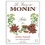 Сироп Monin Анис 700 мл, изображение 3