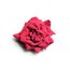 Зацукровані бутони троянди міні Sosa 200 г, зображення 2